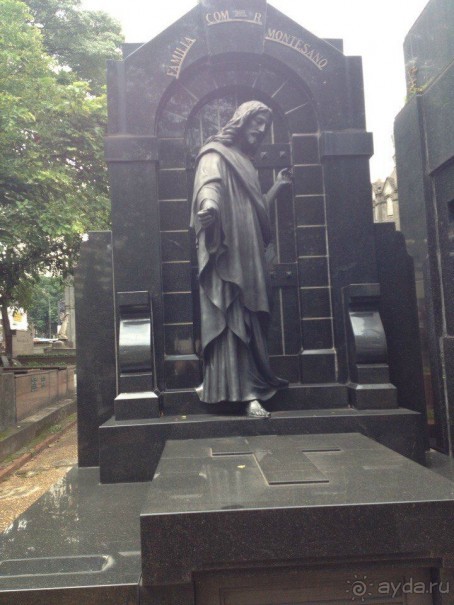 Бразилия или в стране диких обезьян!