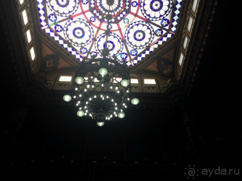 Бразилия или в стране диких обезьян!