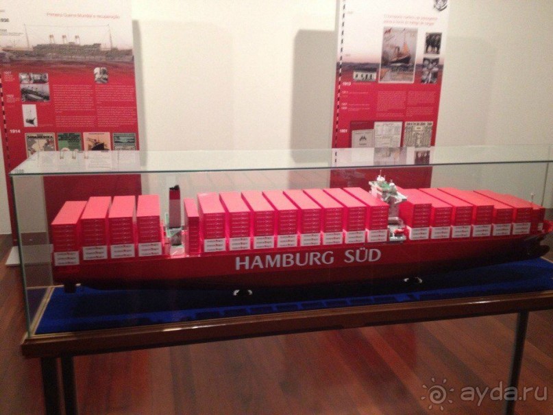 Бразилия или в стране диких обезьян!