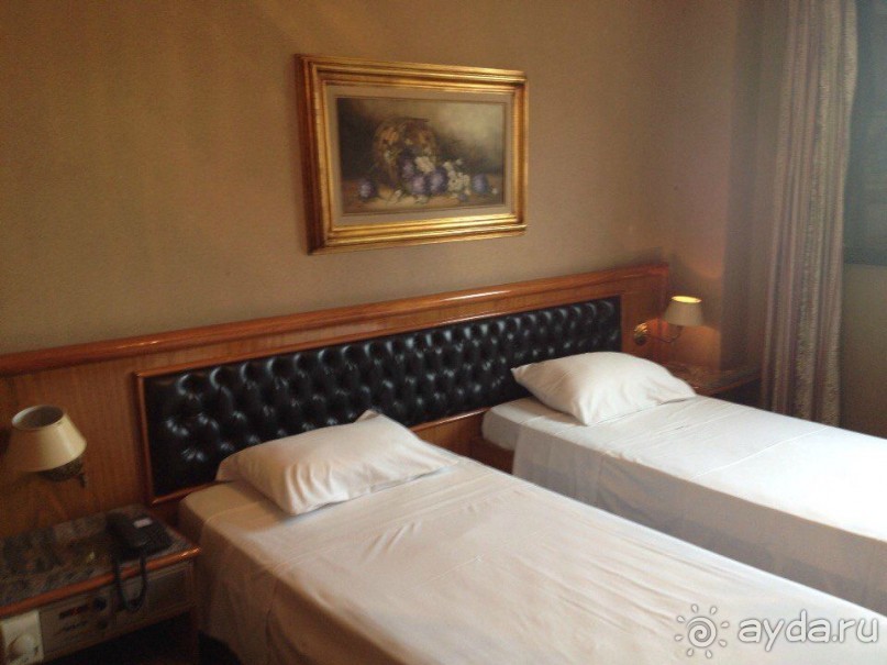 Бразилия или в стране диких обезьян!