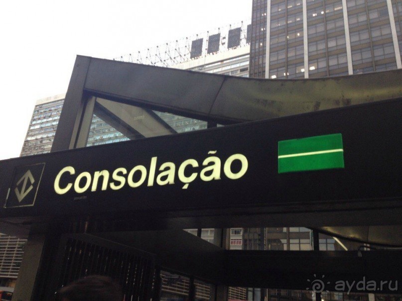 Бразилия или в стране диких обезьян!