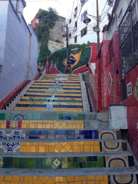 Бразилия или в стране диких обезьян!