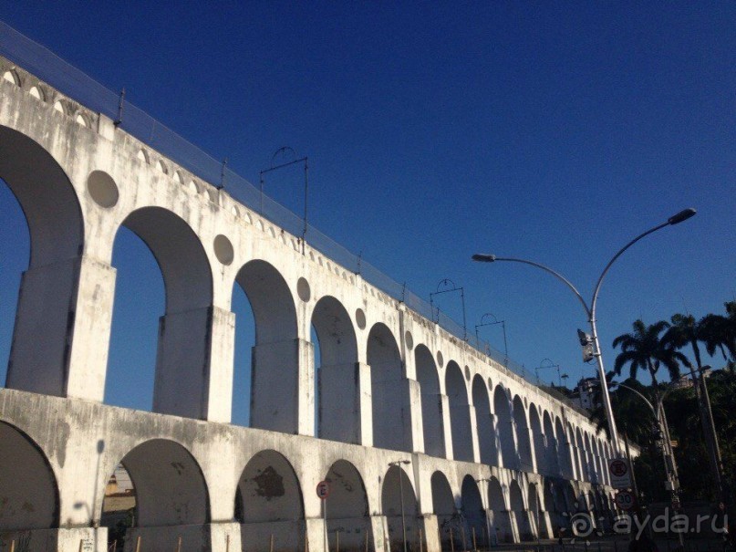 Бразилия или в стране диких обезьян!