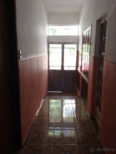 Бразилия или в стране диких обезьян!