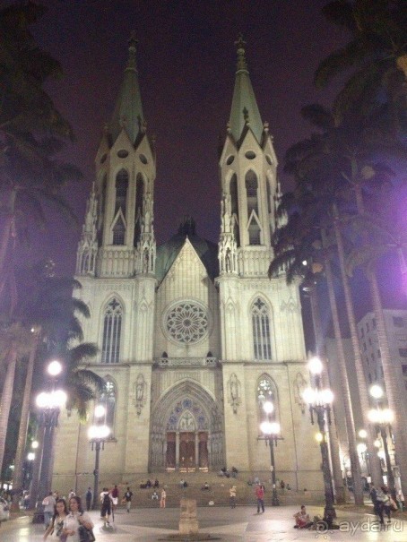 Бразилия или в стране диких обезьян!