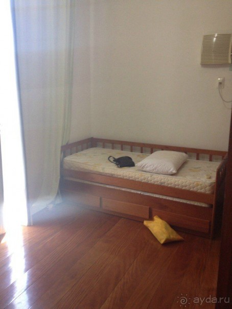 Бразилия или в стране диких обезьян!