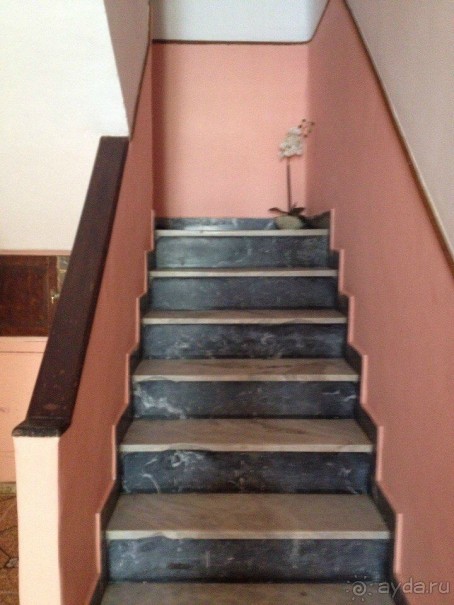 Бразилия или в стране диких обезьян!