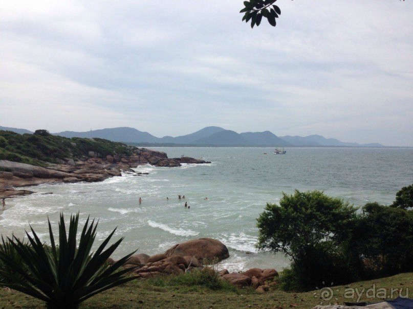 Бразилия или в стране диких обезьян!