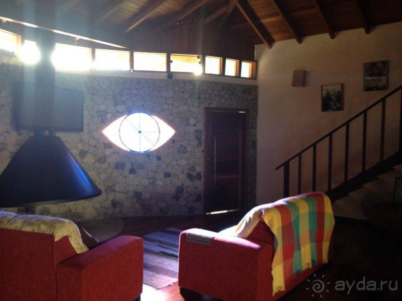 Бразилия или в стране диких обезьян!