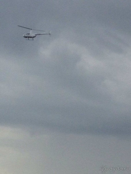 Бразилия или в стране диких обезьян!