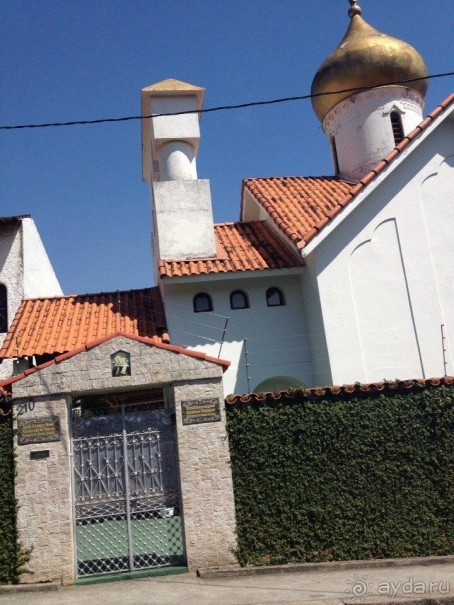 Бразилия или в стране диких обезьян!