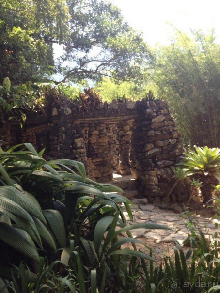 Бразилия или в стране диких обезьян!