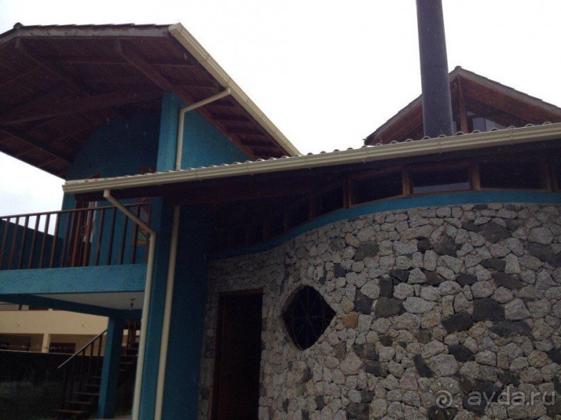 Бразилия или в стране диких обезьян!