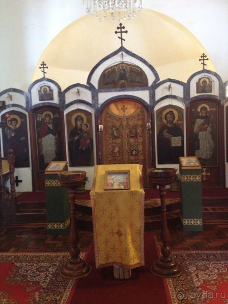 Бразилия или в стране диких обезьян!