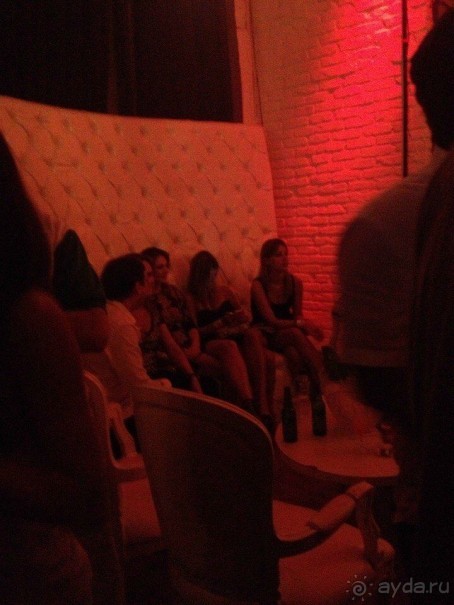 Бразилия или в стране диких обезьян!