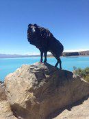 Новая Зеландия для безлошадного туриста