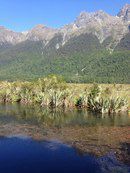 Новая Зеландия для безлошадного туриста