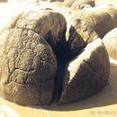 Новая Зеландия для безлошадного туриста