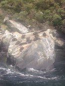 Новая Зеландия для безлошадного туриста