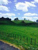 Новая Зеландия для безлошадного туриста