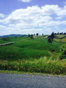 Новая Зеландия для безлошадного туриста