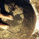 Новая Зеландия для безлошадного туриста