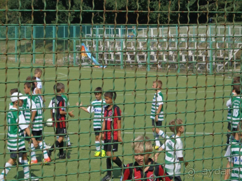 фото Seeboken Zum Weissen Hirschen