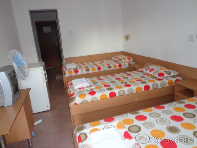 фото Seeboken Zum Weissen Hirschen