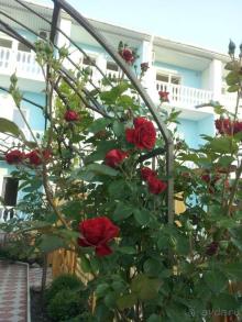 Райский уголок для деток!!!