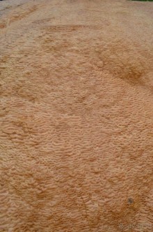 Нарзанный источник на Военно-Грузинской дороге.