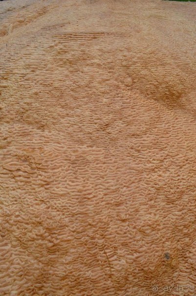 Нарзанный источник на Военно-Грузинской дороге.