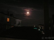 Золотой отдых