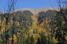  «Легенды Самурзакана» - таким бывает отдых в Абхазии «все включено».