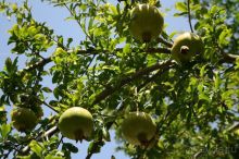 Италия - прекрасна! 