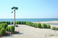 Апартаменты "Любоморье"