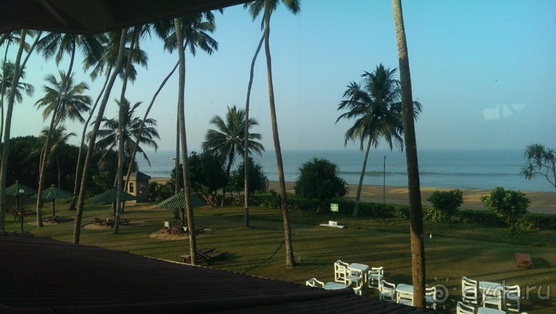 Чисто для Шри-Ланки