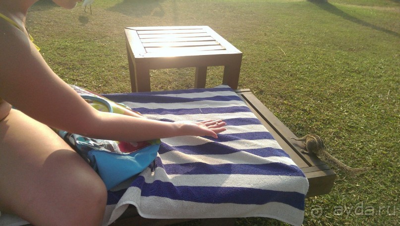 Чисто для Шри-Ланки