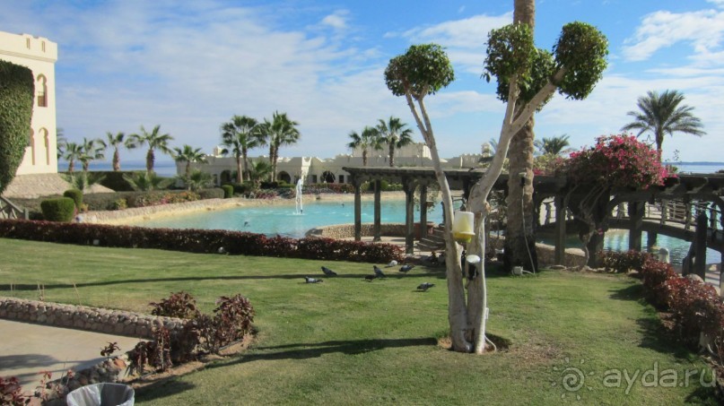 Это пять звезд