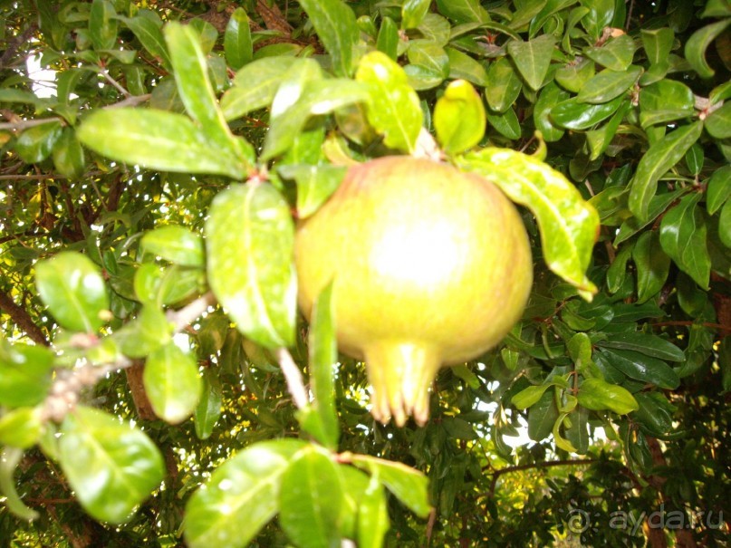  Very good,just fine!