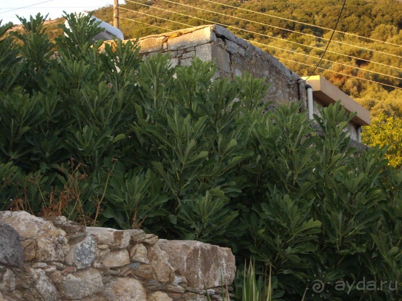  Very good,just fine!