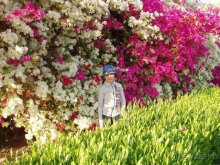 Alesha_in_Sofitel_2006