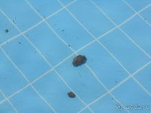 Украли вещи из номера