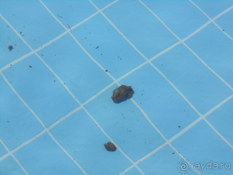 фото Hilton On The Park Melbourne