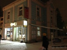 Туи в снегу.