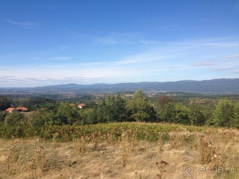 фото Sofitel Melbourne