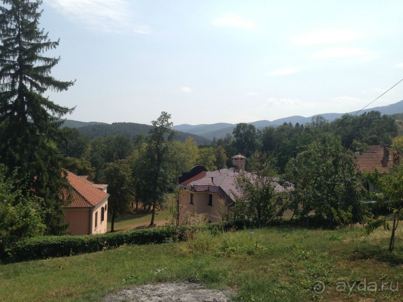 фото Sofitel Melbourne