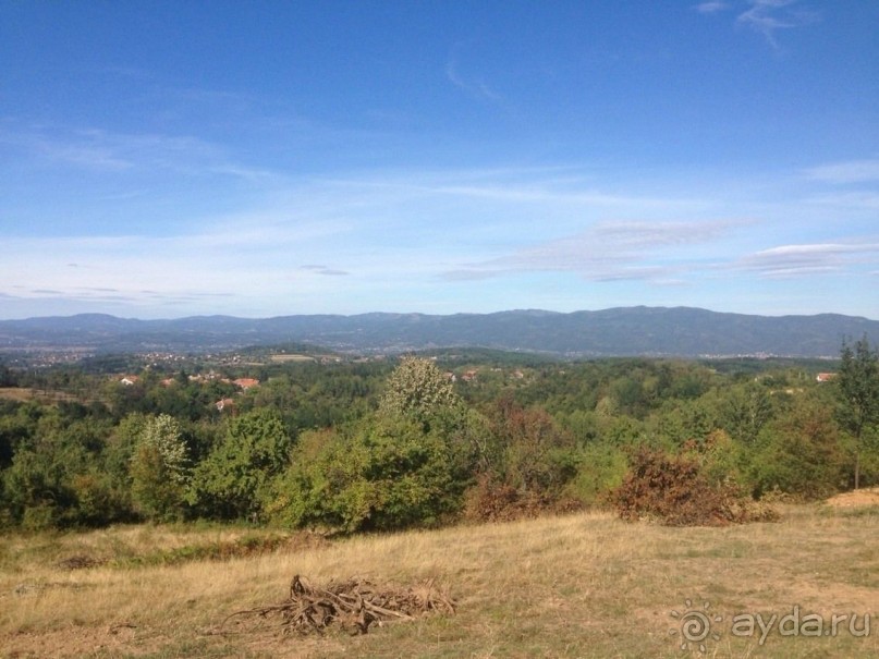 фото Sofitel Melbourne