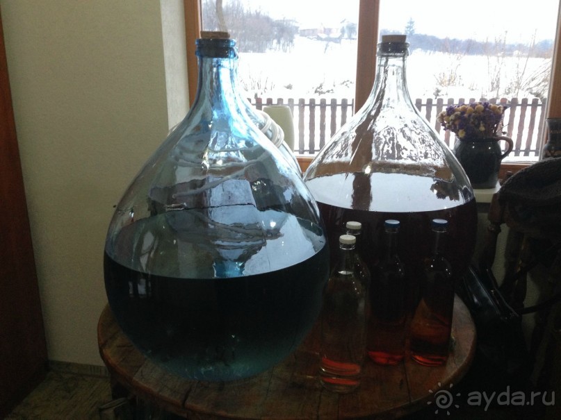 В гостях у Бобана или очень вкусная Мангалица