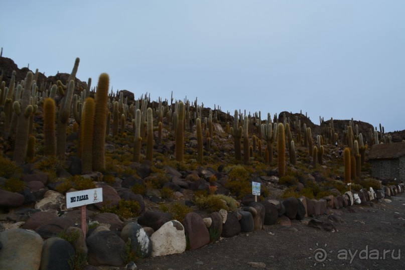 За снегом в Южную Америку. 2. Боливия 2.2. Солончак Уюни