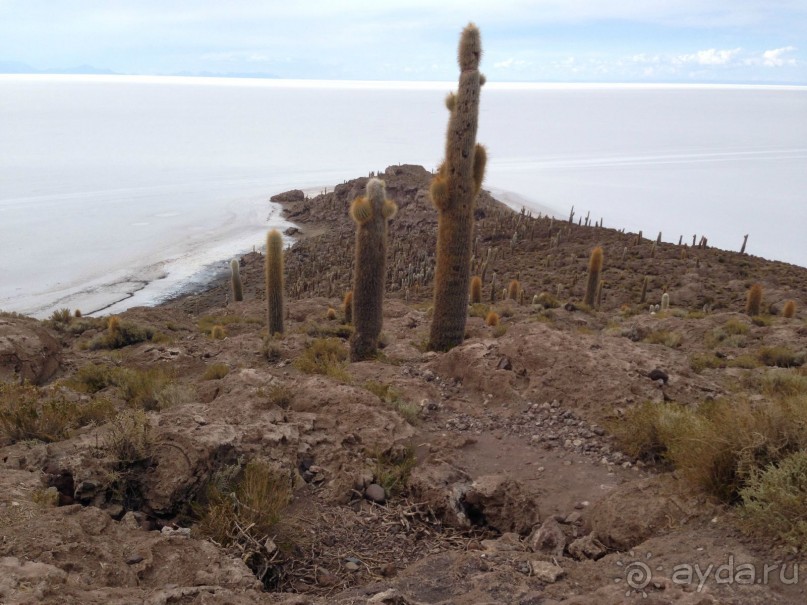 За снегом в Южную Америку. 2. Боливия 2.2. Солончак Уюни
